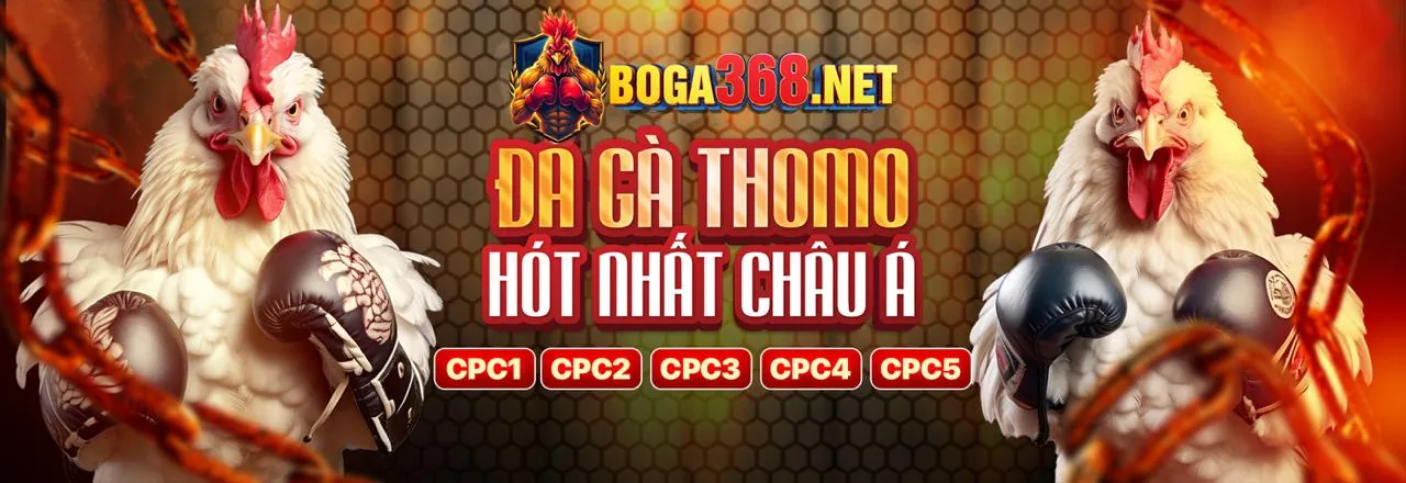 Đá Gà Trực Tuyến 99ok nhà cái 2026